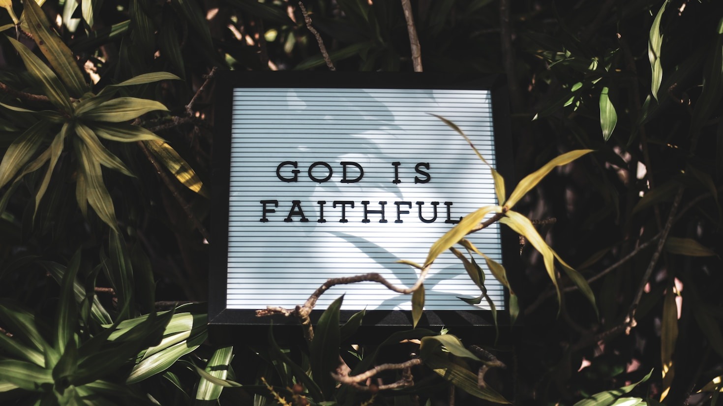 Empowering Your Financial Journey with Spirituality